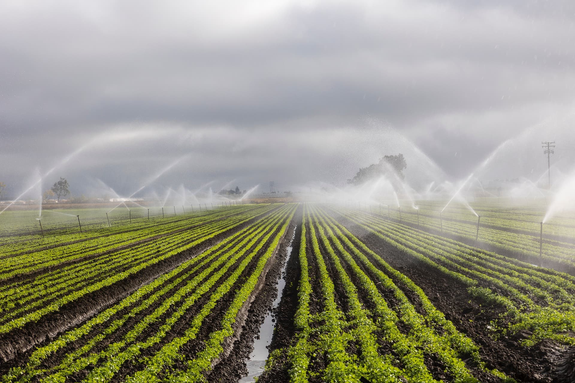 TXHydroseeding Services That Deliver Strong, Lasting Grass Growth