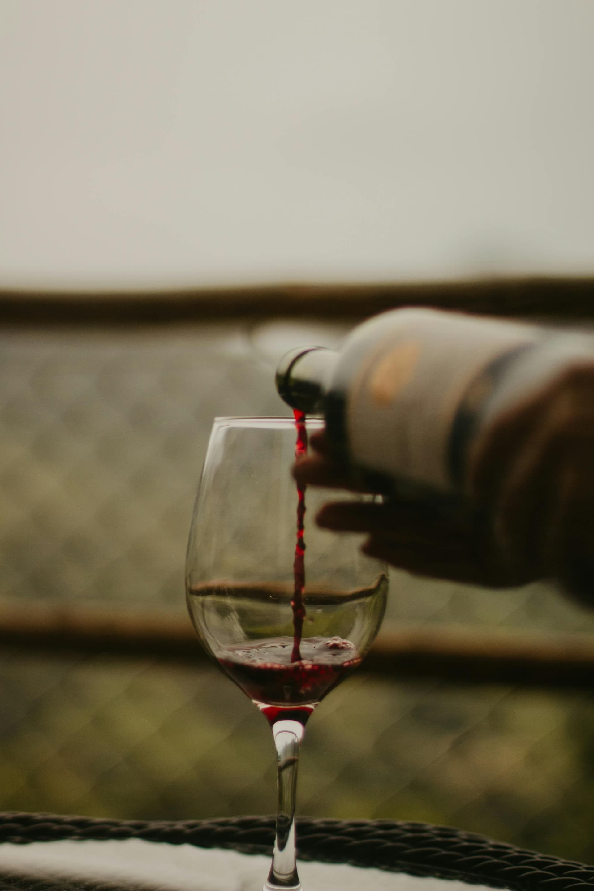 Sacramento wine tasting day trip Through Scenic Clarksburg Vineyards and Wineries