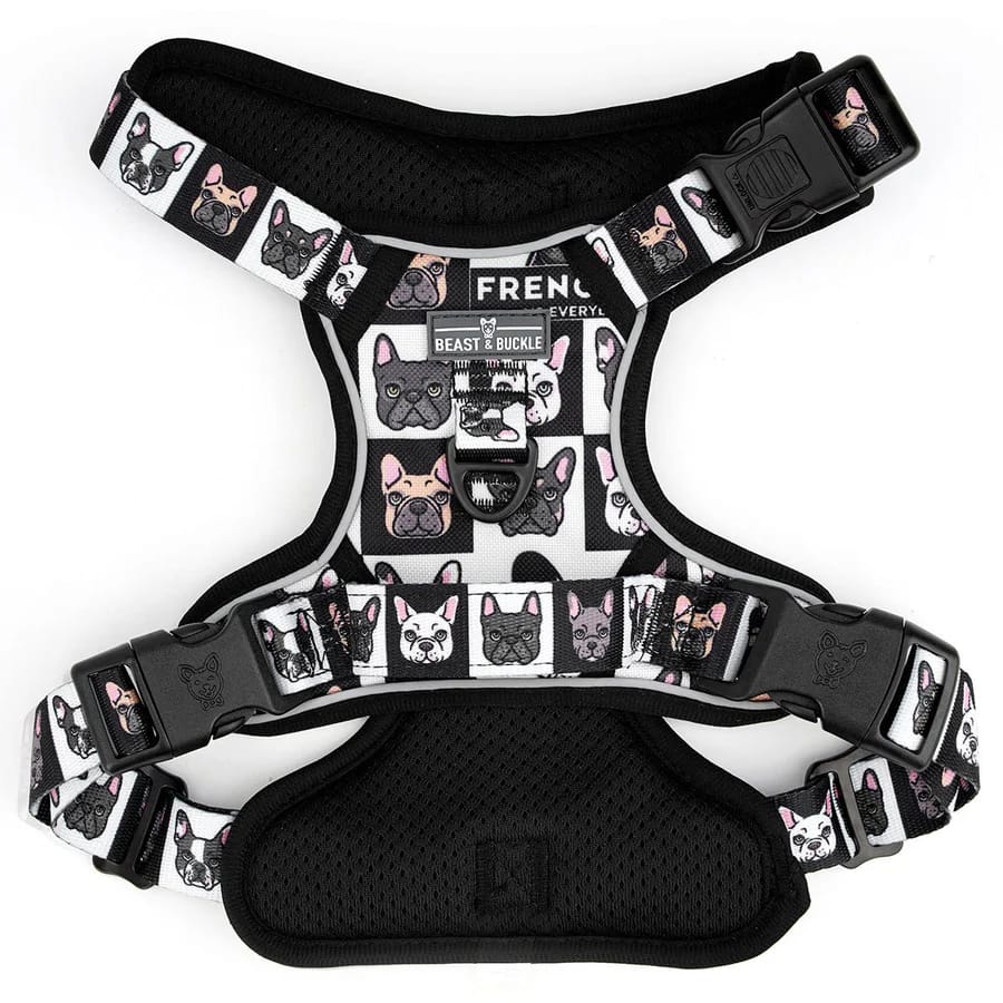 Best Dog Harness Supplier for Wholesale Buyers